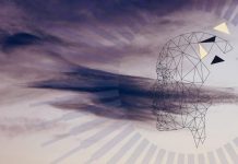 Levitee Labs Inc. A Closer Look